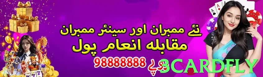 App features overview - 3